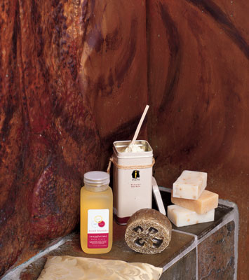 Can’t afford to make structural changes in your bathroom? Enhance your bathing experience with bath products such as Inara’s Babassu Milk Bath (888-688-7565, www.inaraorganic.com), Tend Blend’s Snuggletime Bath Froth, (866-275-5812, www.tendblends.com), handmade herbal soaps, a Mythic Tribe body buffer (818-506-5192, www.mythictribe.com), and a Rest Your Eyes eye pillow (800-426-4336, www.uncommonscents.com). All products are available through Boulder by Design (303-443-2084, www.boulderbydesign.com).